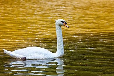 《小林家的龙女仆 炸裂!!天真龙☆吐息》中文版 7月21日发售